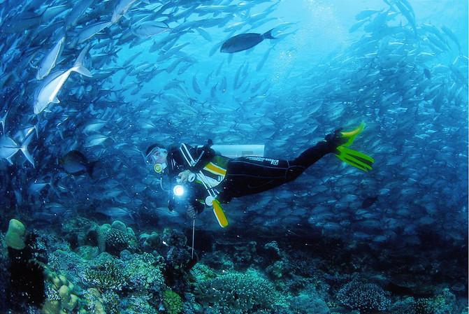 水泥砌块砖生产中的立轴行星式搅拌机：均匀、高效、长寿命